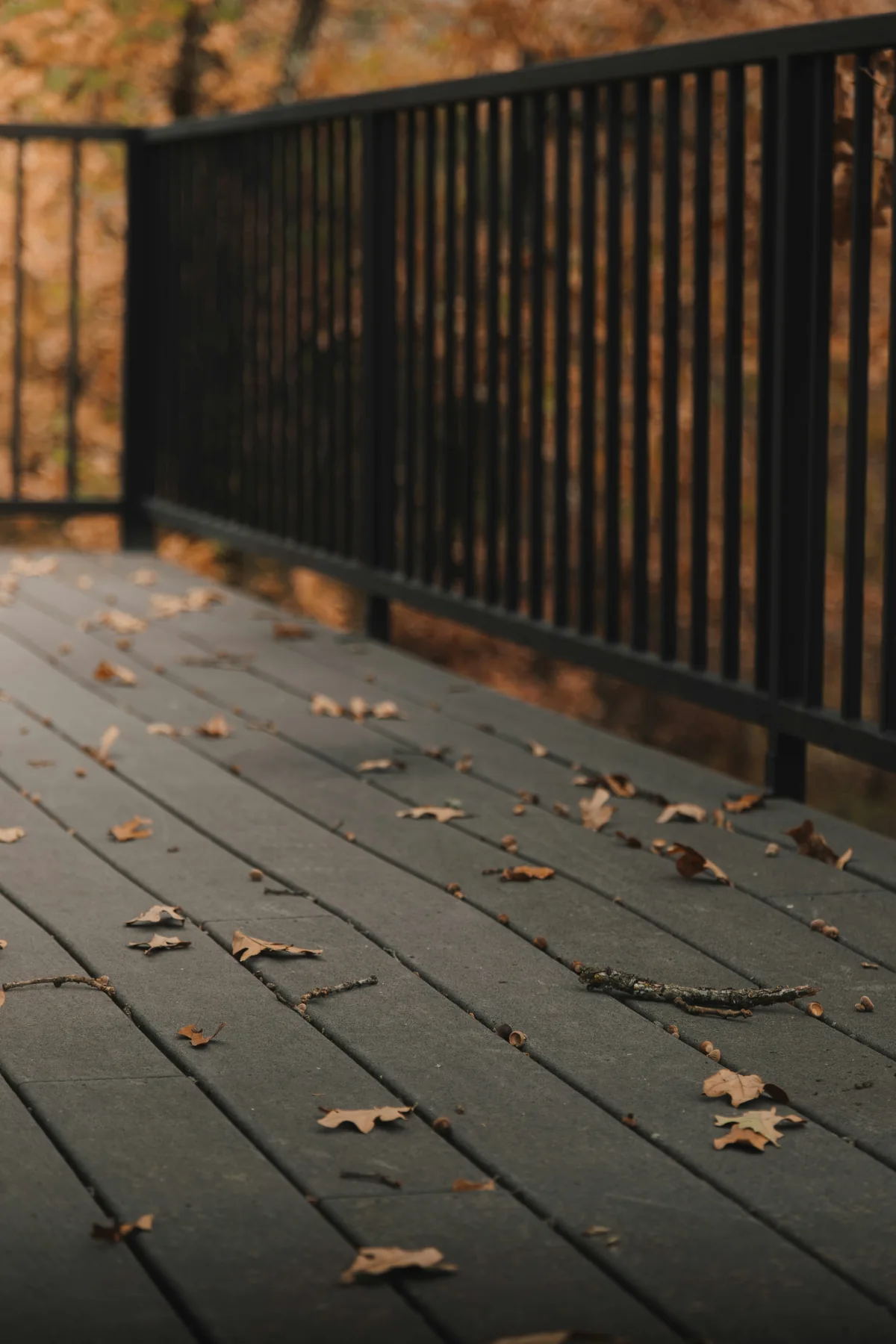 Fallen leaves and twigs scattered across deck boards beside a dark railing